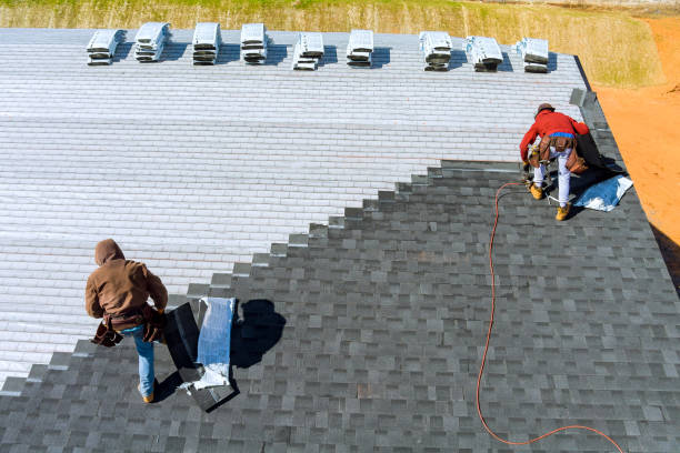Best Flat Roof Repair Services  in Watertown, MN