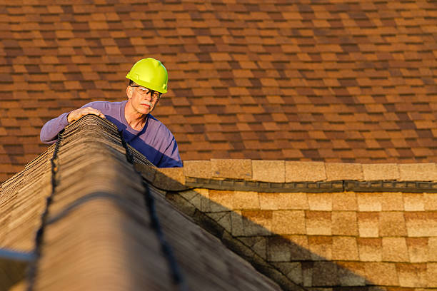 Best Roof Gutter Cleaning  in Watertown, MN